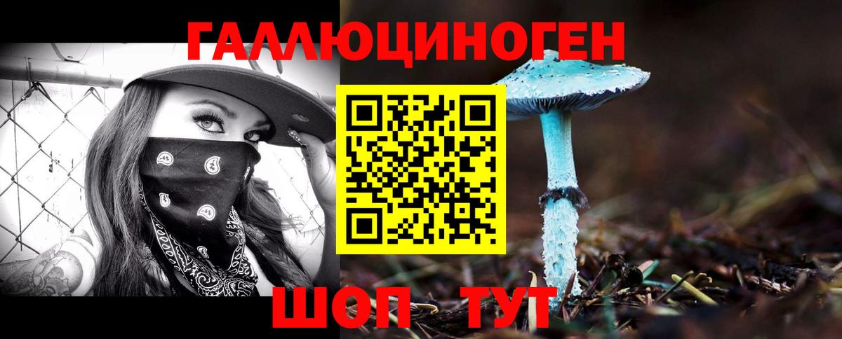 закладки  Псилоцибиновые грибы мицелий  Вход с VPN  Галлюциногенные грибы прущие грибы  Кимовск 